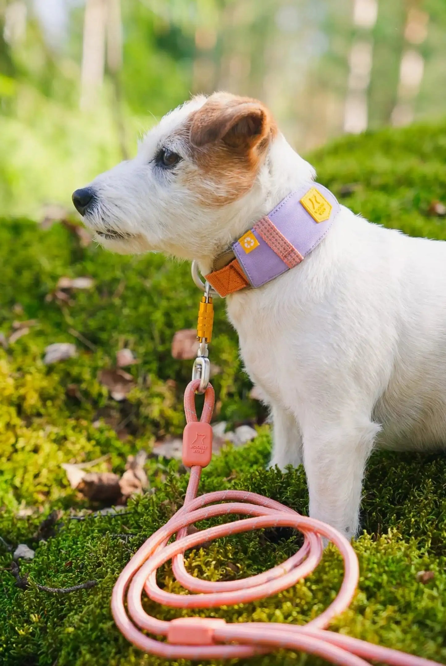 Нашийник Woolly Wolf Alpha 360 Collar Lavender Mix