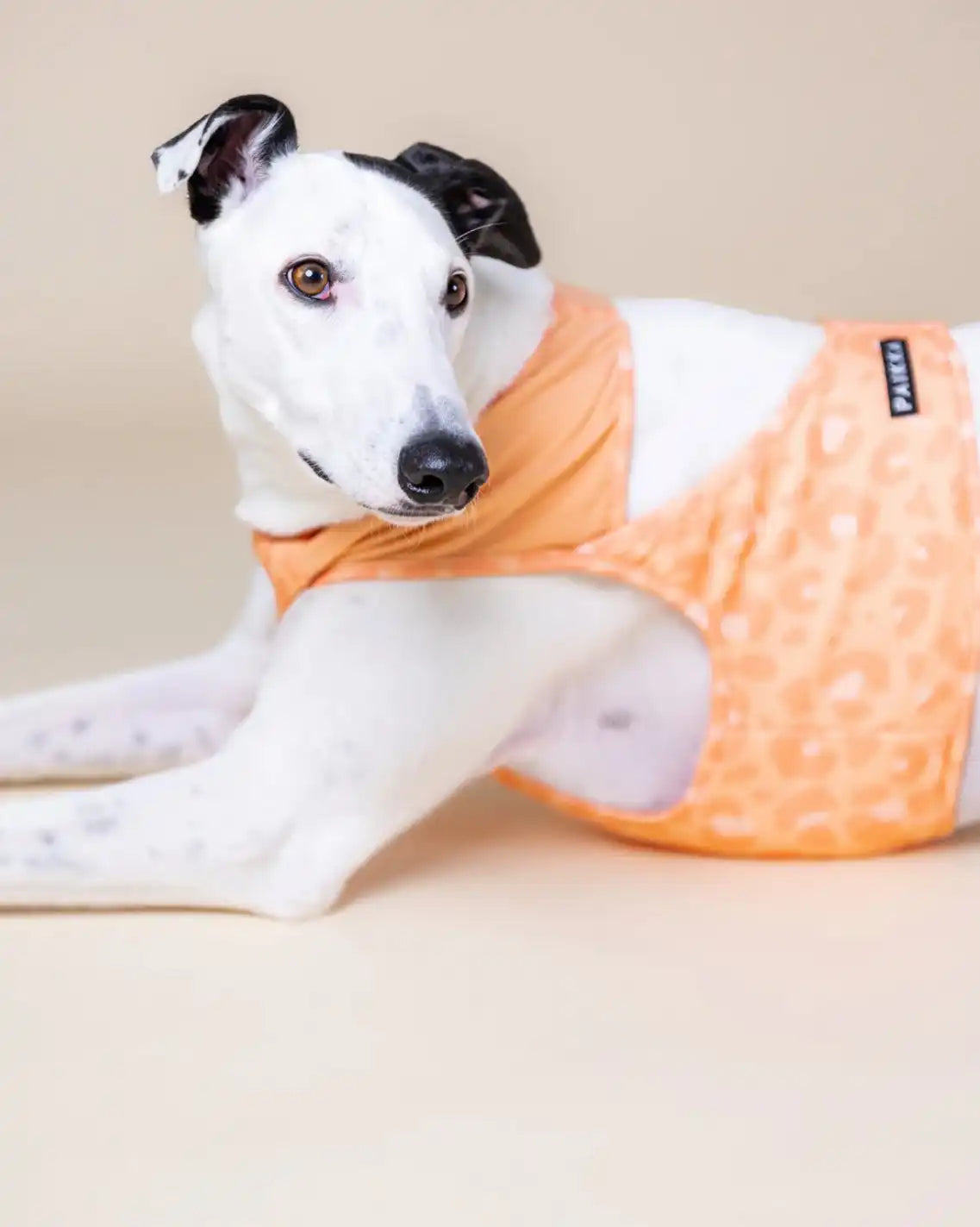 Охолоджуючий жилет для собак PAIKKA Cool Vest Peach