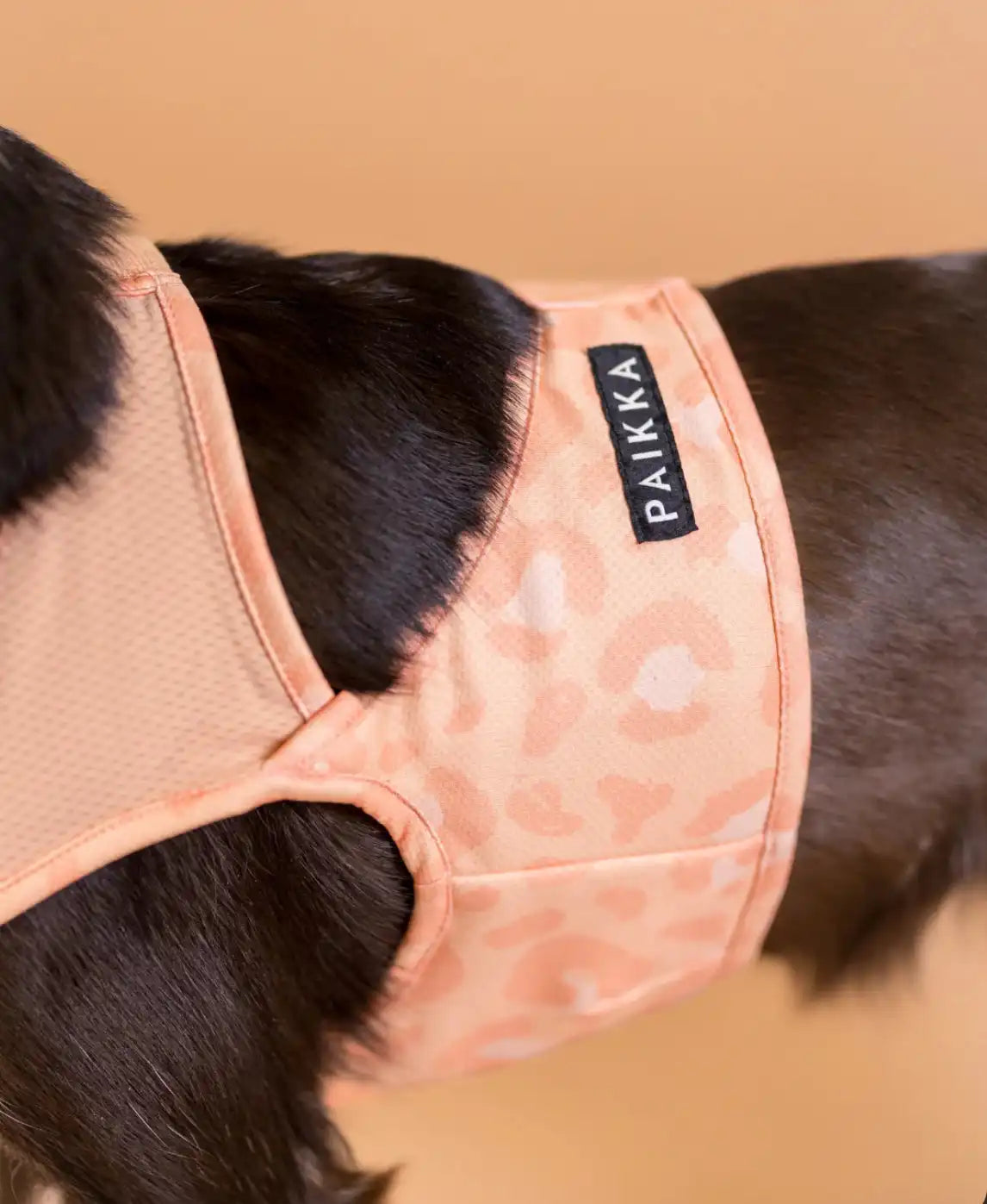 Охолоджуючий жилет для собак PAIKKA Cool Vest Peach