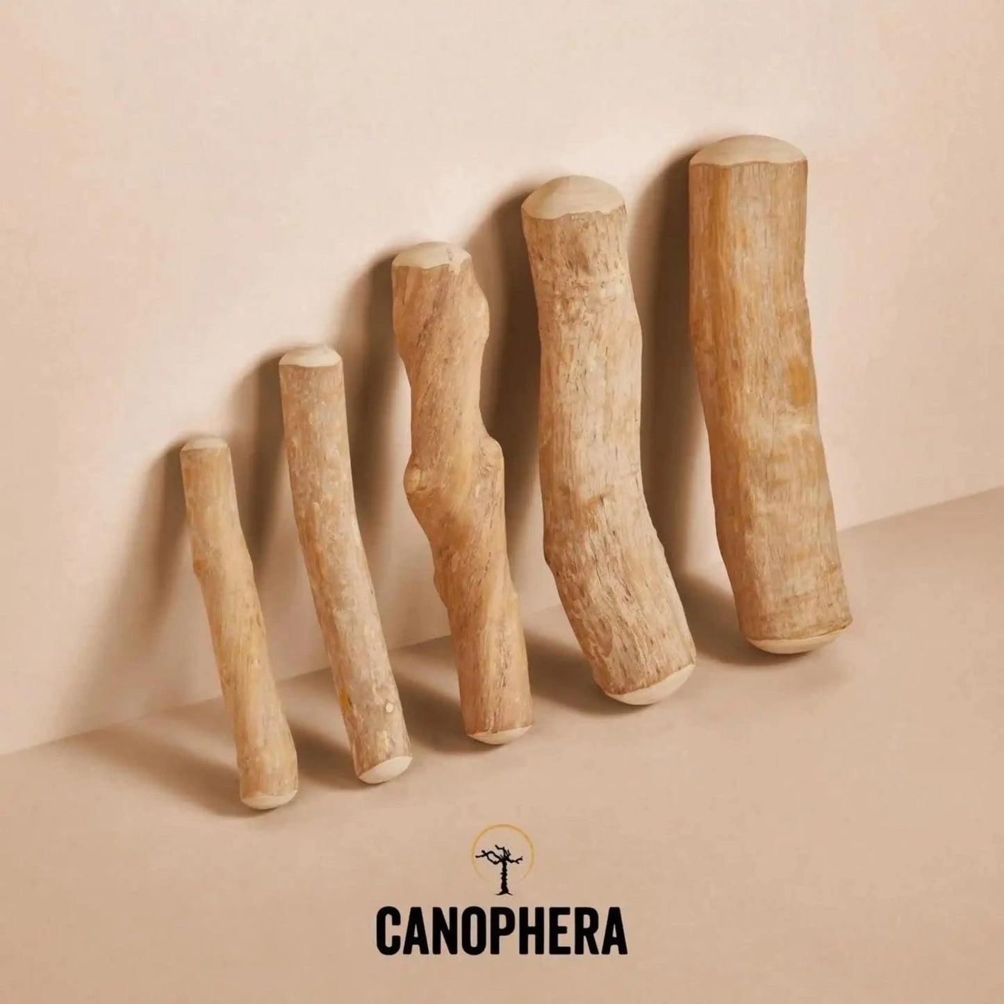 Палиця для собак з кавового дерева Canophera