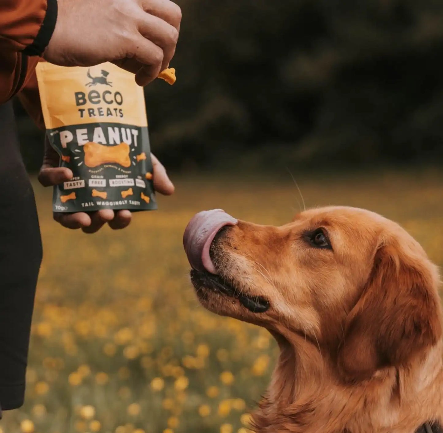 Печиво для собак Beco Pets Арахіс з кокосом і куркумою 70 г (рослинний білок)