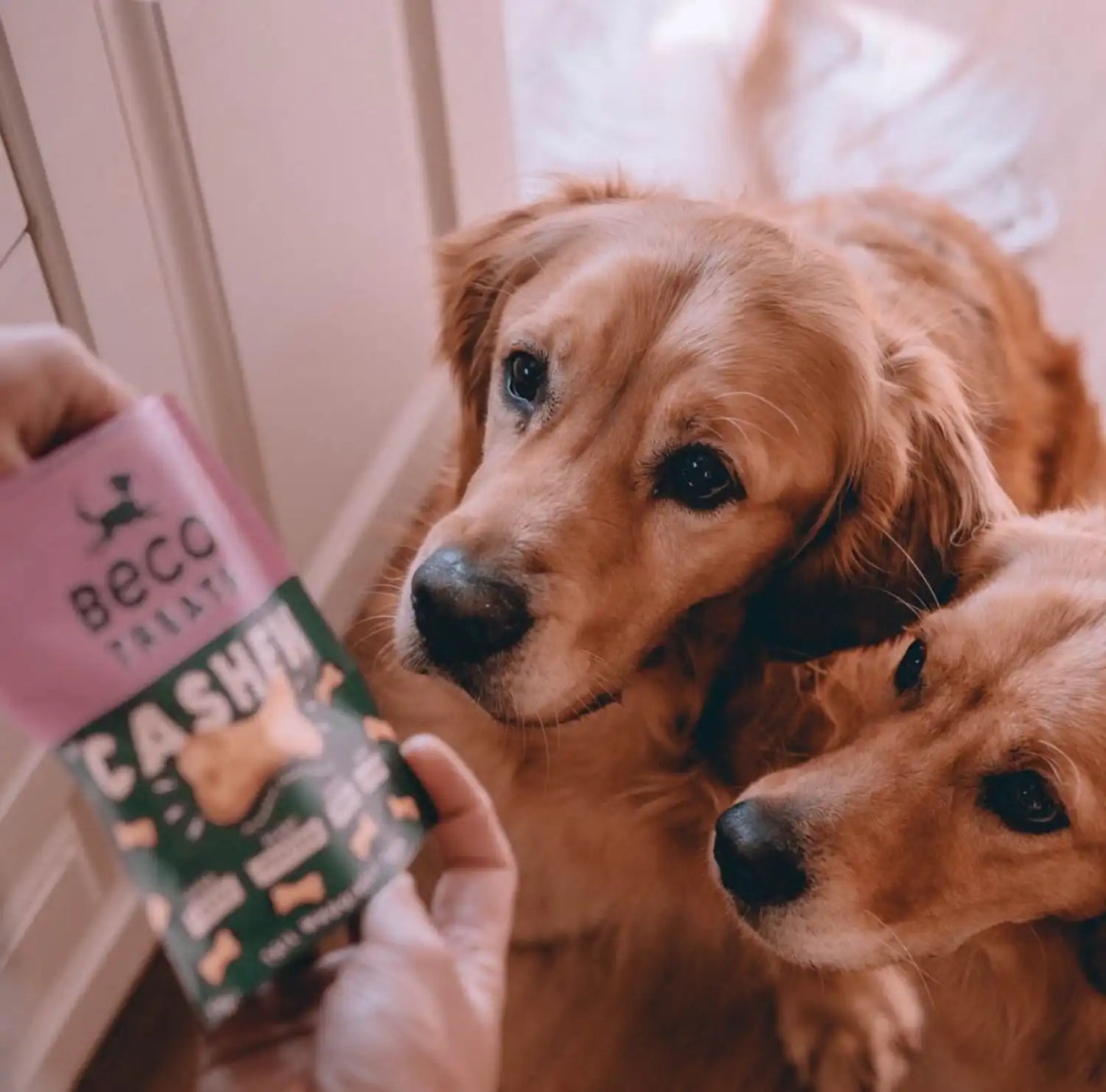 Печиво для собак Beco Pets Кеш'ю з гарбузовим насінням і морквою 70 г (рослинний білок)