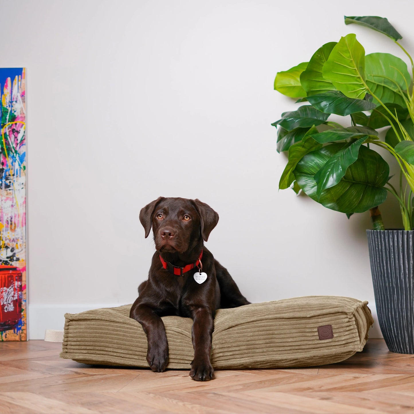 Подушка Memory Foam Cacao