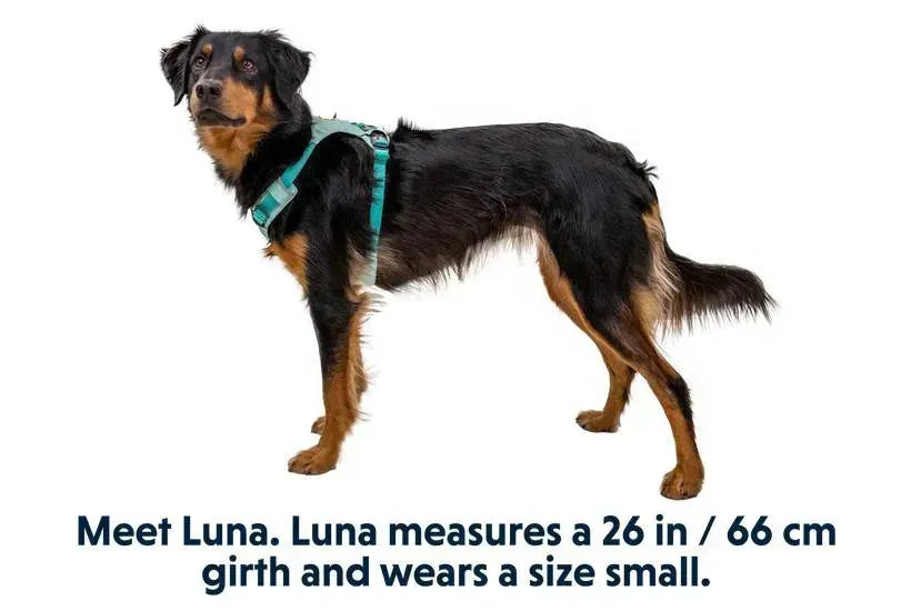 Полегшена шлейка для собак Ruffwear Hi & Light™ зелений