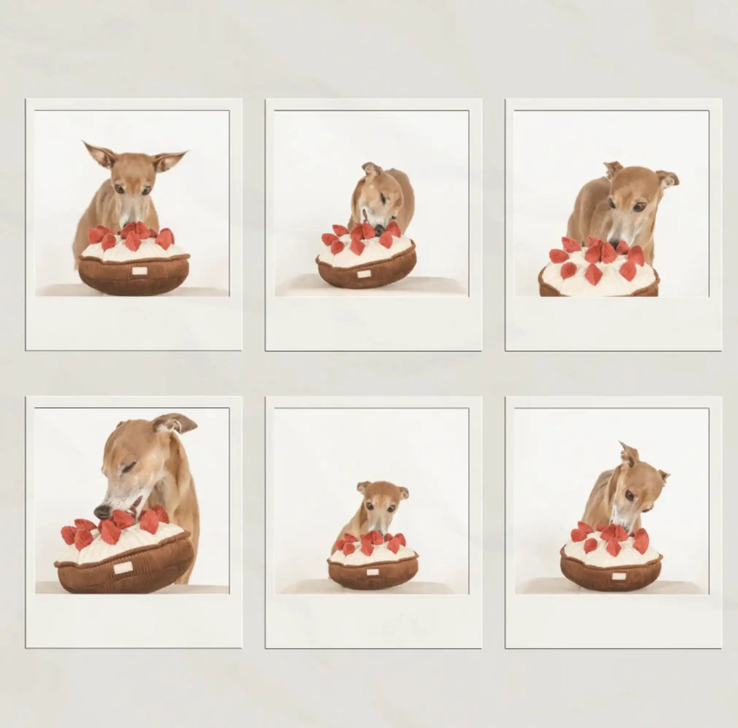 Пошукова іграшка для собак BERRY PIE Lambwolf