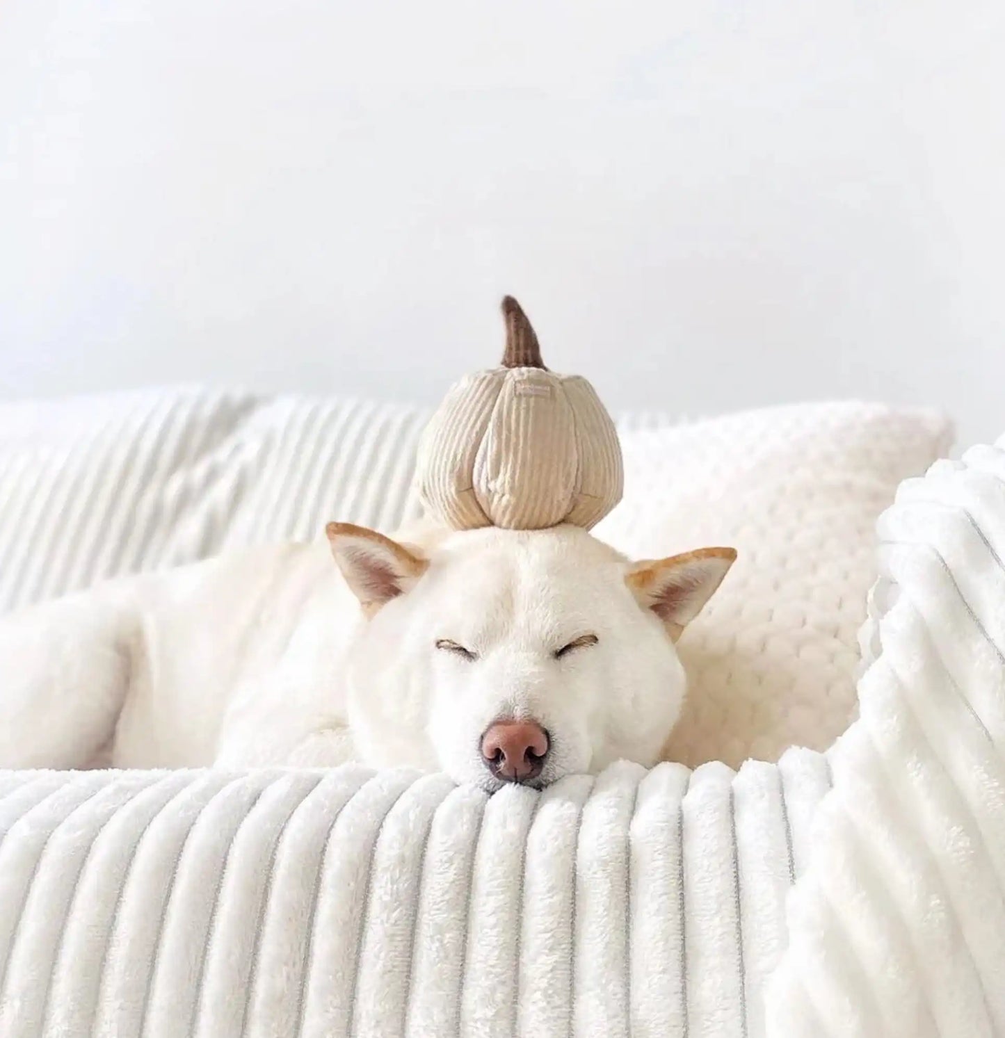 Пошукова іграшка для собак Boo Lambwolf