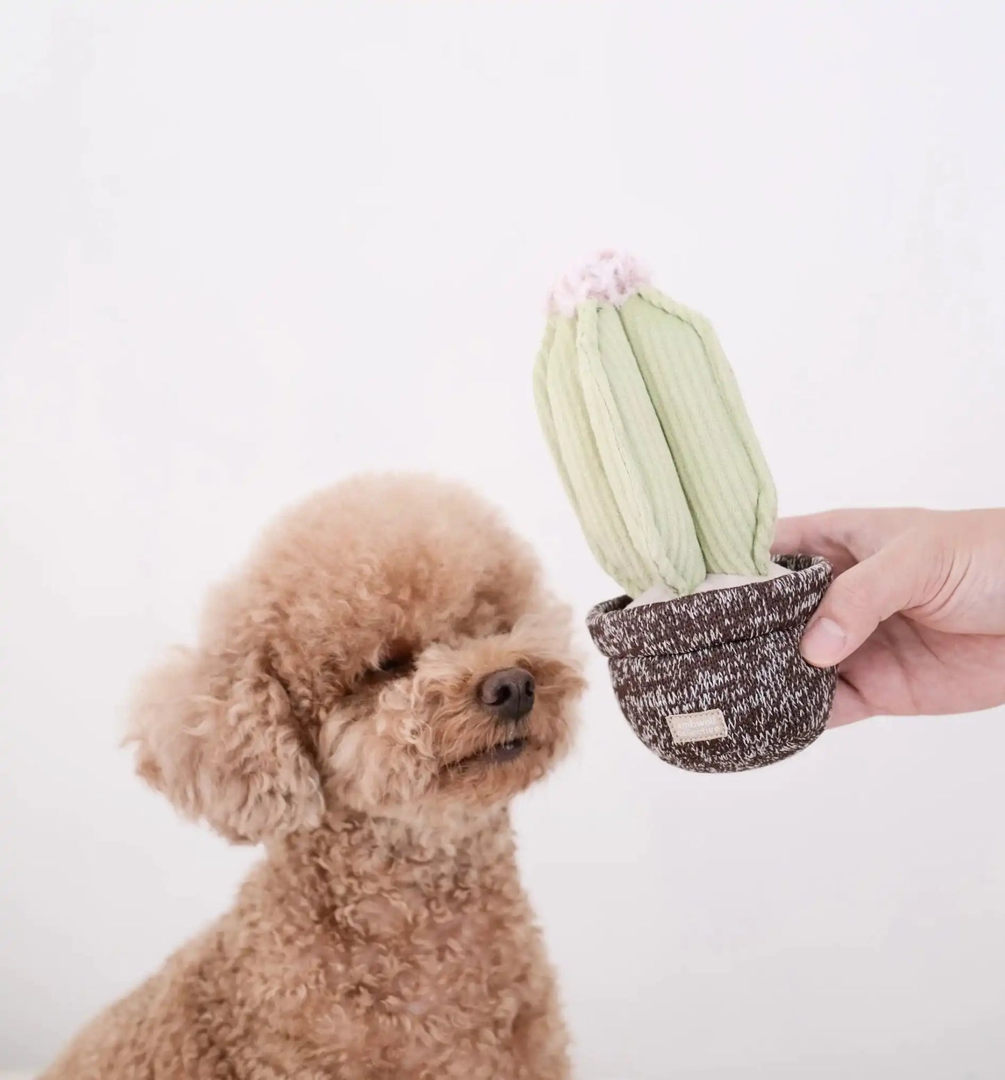 Пошукова іграшка для собак CACTUS Lambwolf