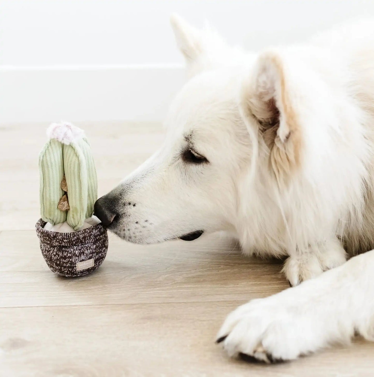 Пошукова іграшка для собак CACTUS Lambwolf