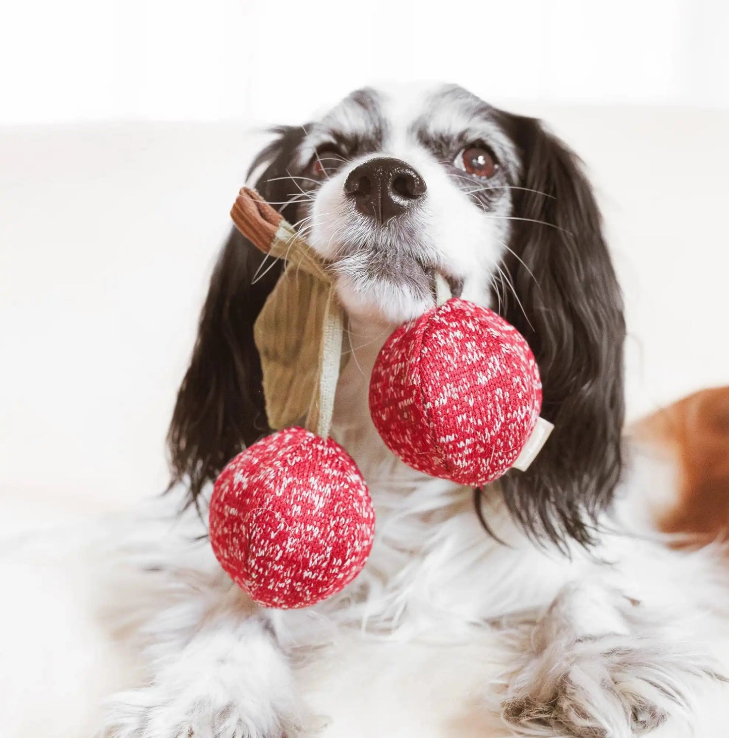 Пошукова іграшка для собак Cherry Pops Lambwolf