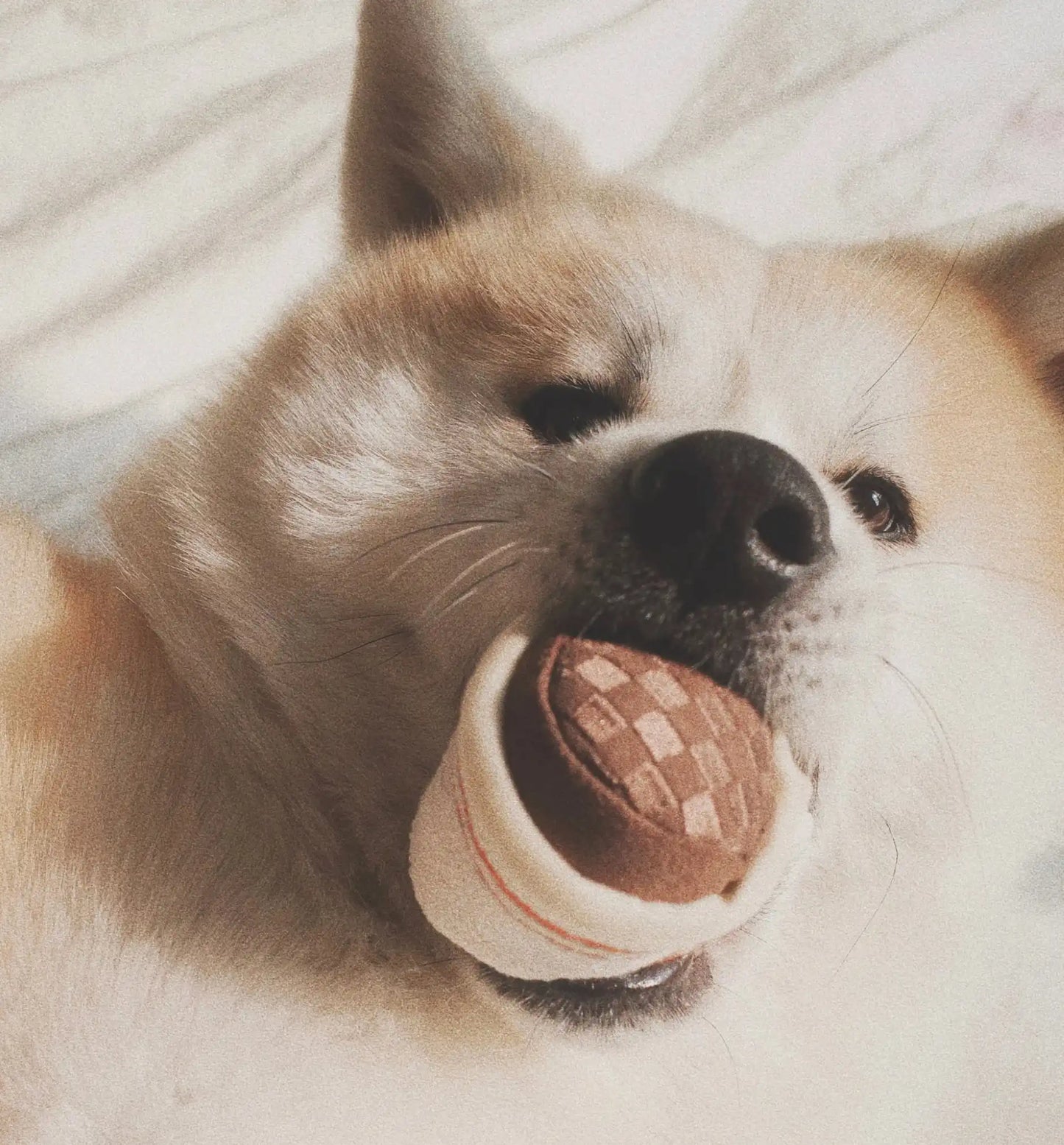 Пошукова іграшка для собак Expresso POP Lambwolf