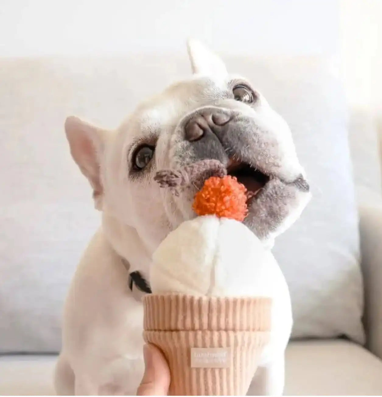 Пошукова іграшка для собак ICE CREAM POP Lambwolf