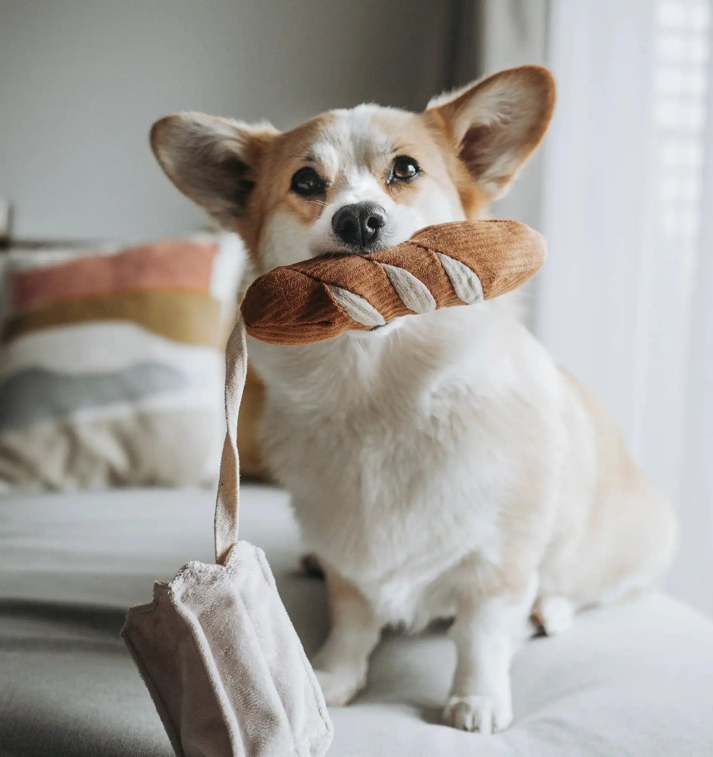 Пошукова іграшка для собак MINI BAGUETTE Lambwolf