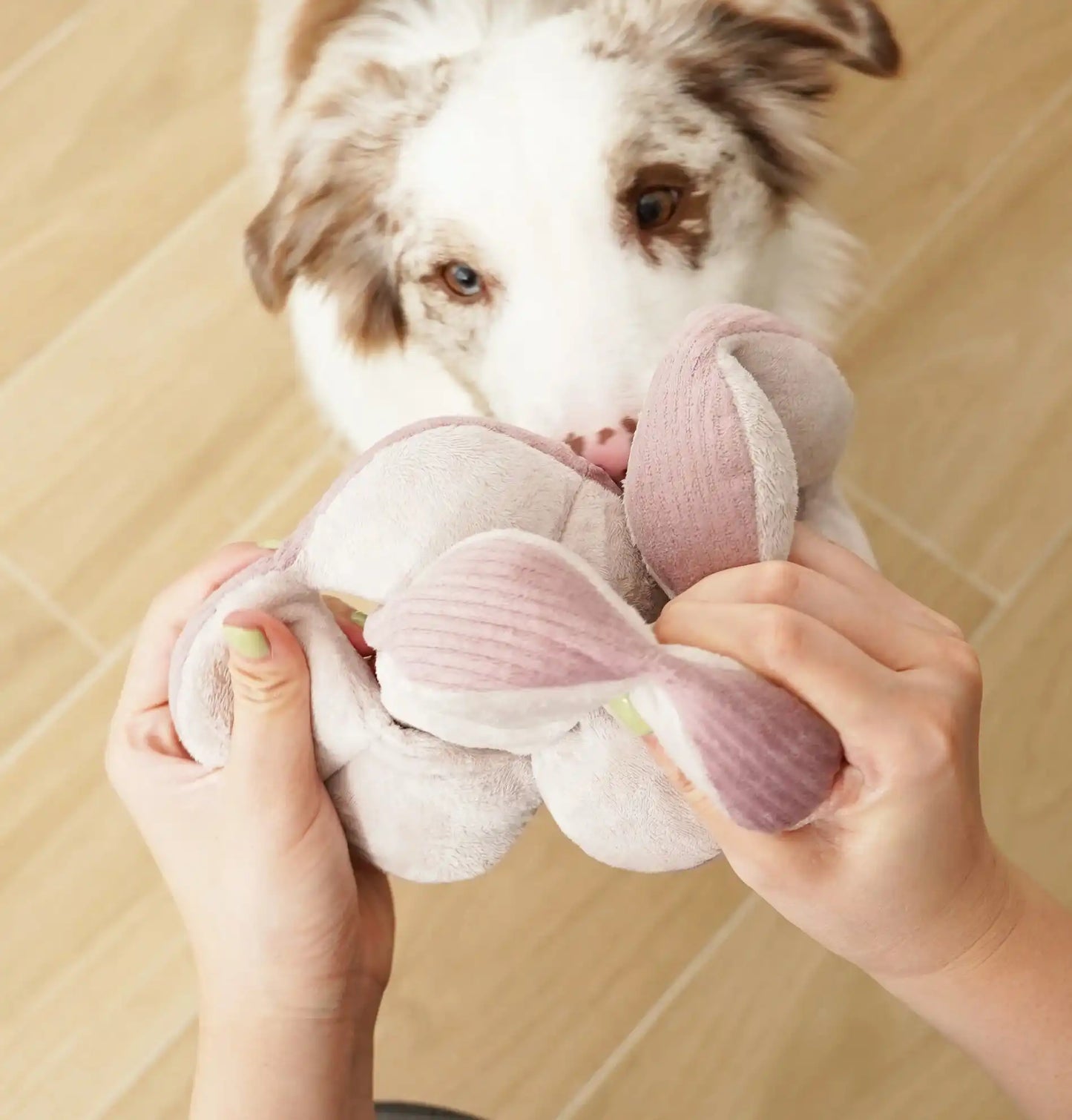 Пошукова іграшка для собак MONTI Lambwolf (Blush)