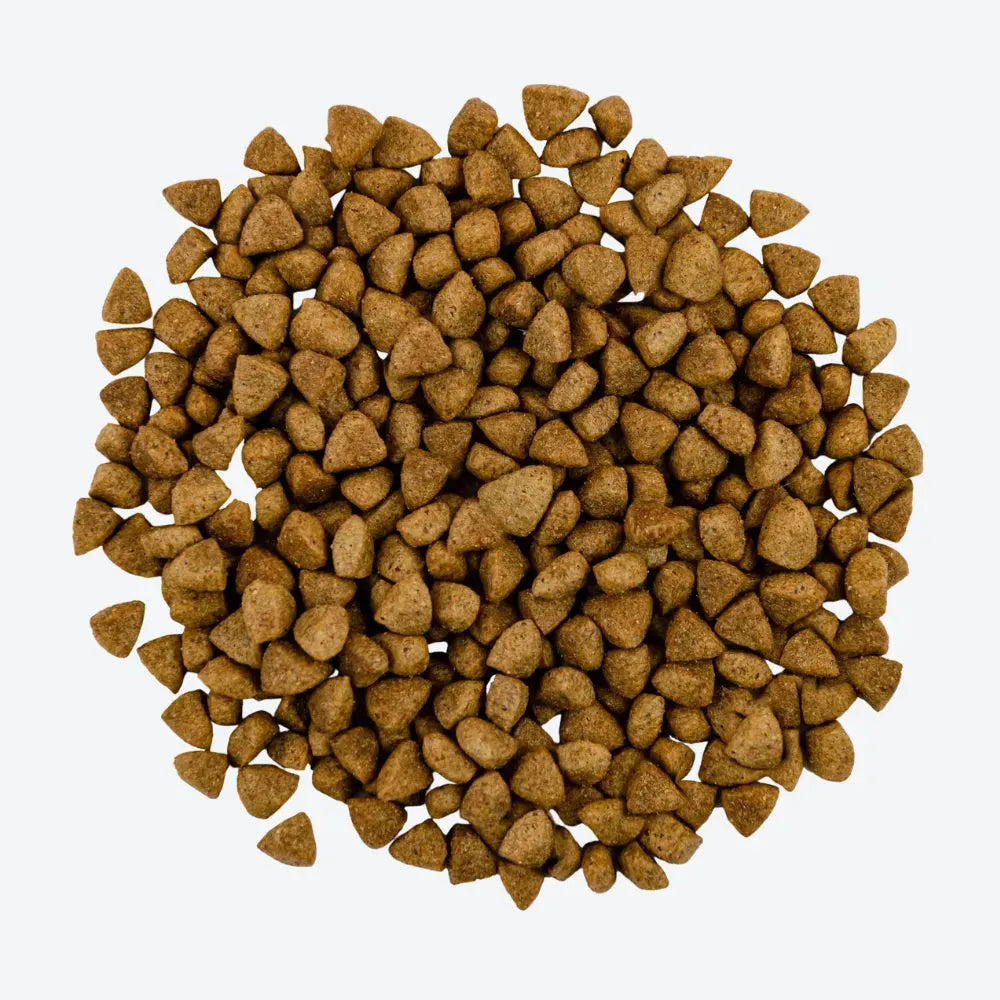 Корм сухий Savory Adult Cat Steril Fresh Lamb and Chicken для стерилізованих котів з ягнятиною та куркою