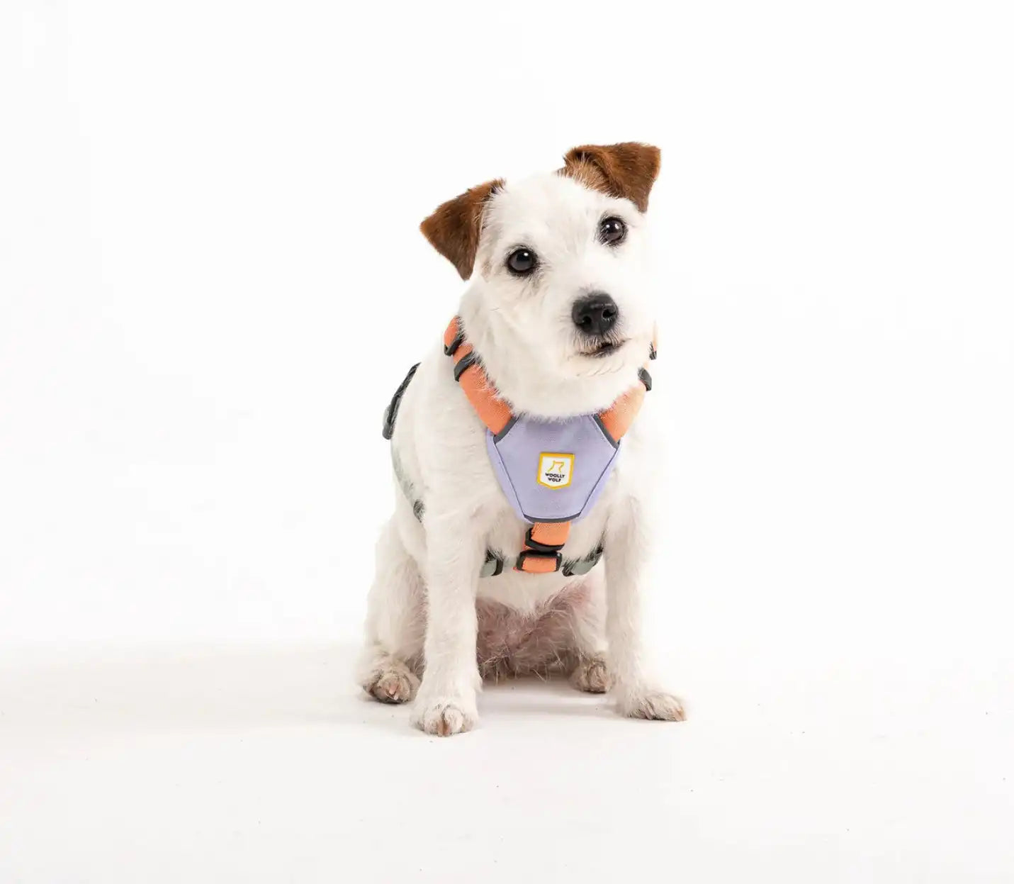 Шлея для собак Woolly Wolf Color Block Harness Salmon Pink Mix