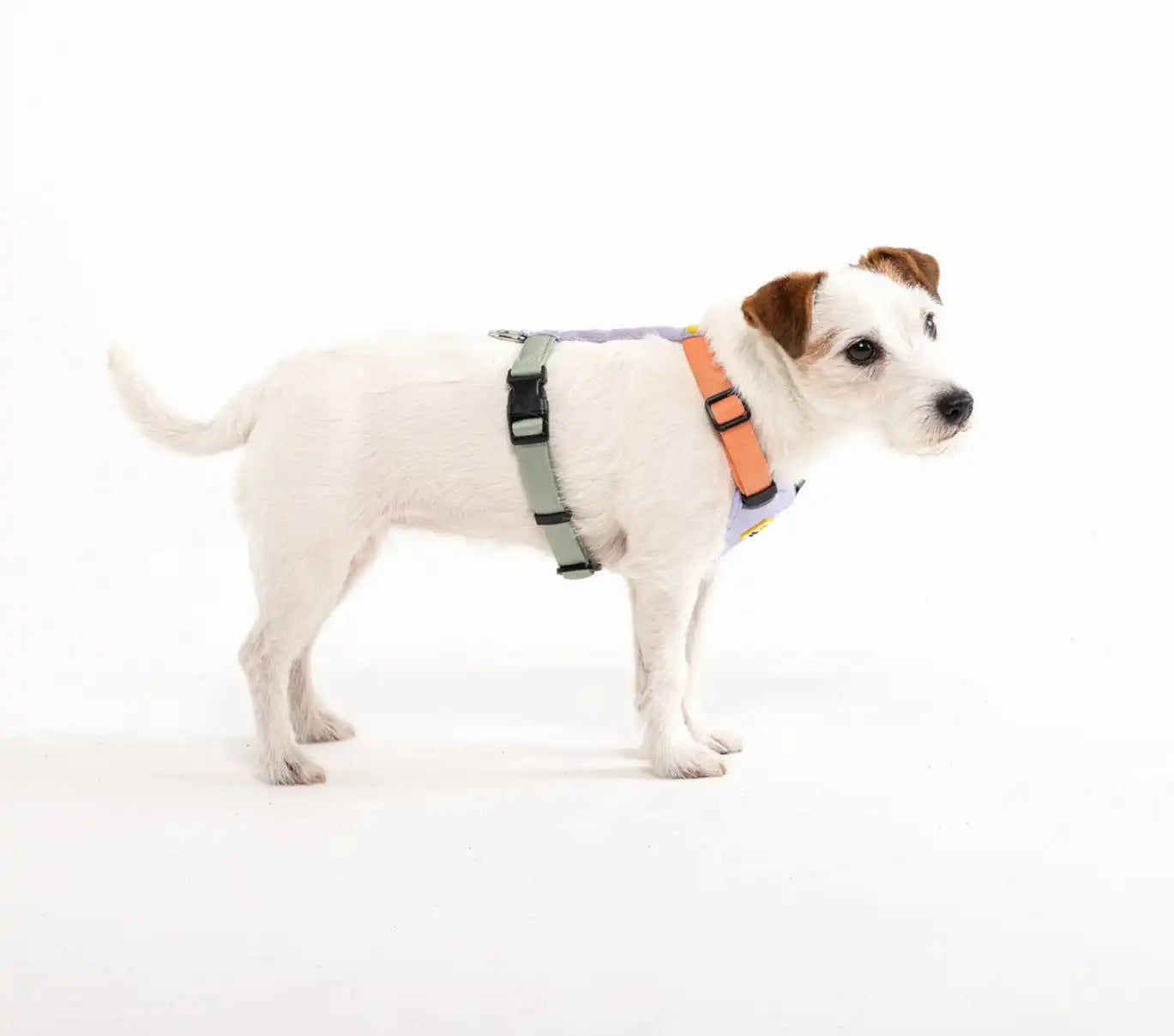 Шлея для собак Woolly Wolf Color Block Harness Salmon Pink Mix