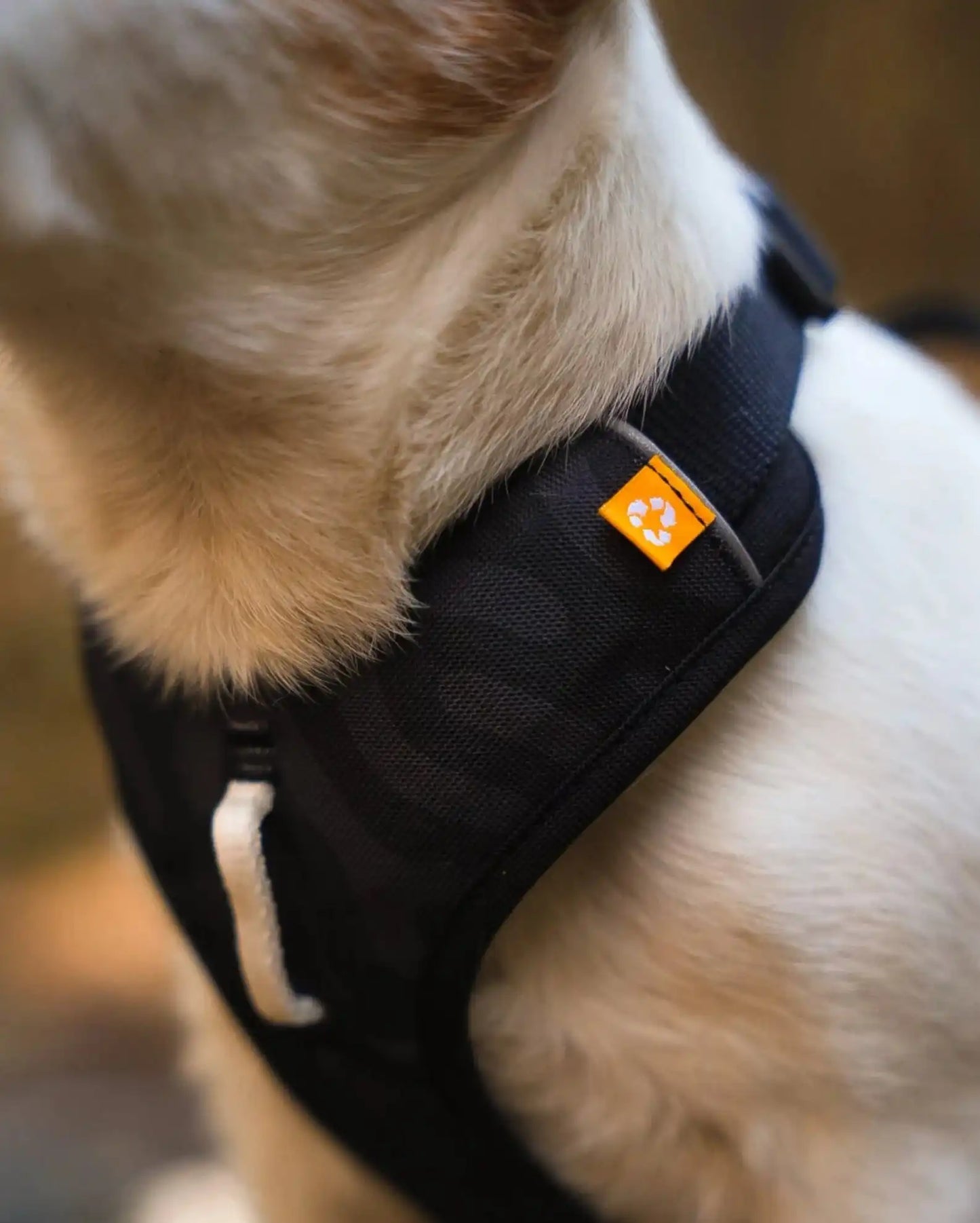 Шлея для собак Woolly Wolf Roam Harness Black Ripple