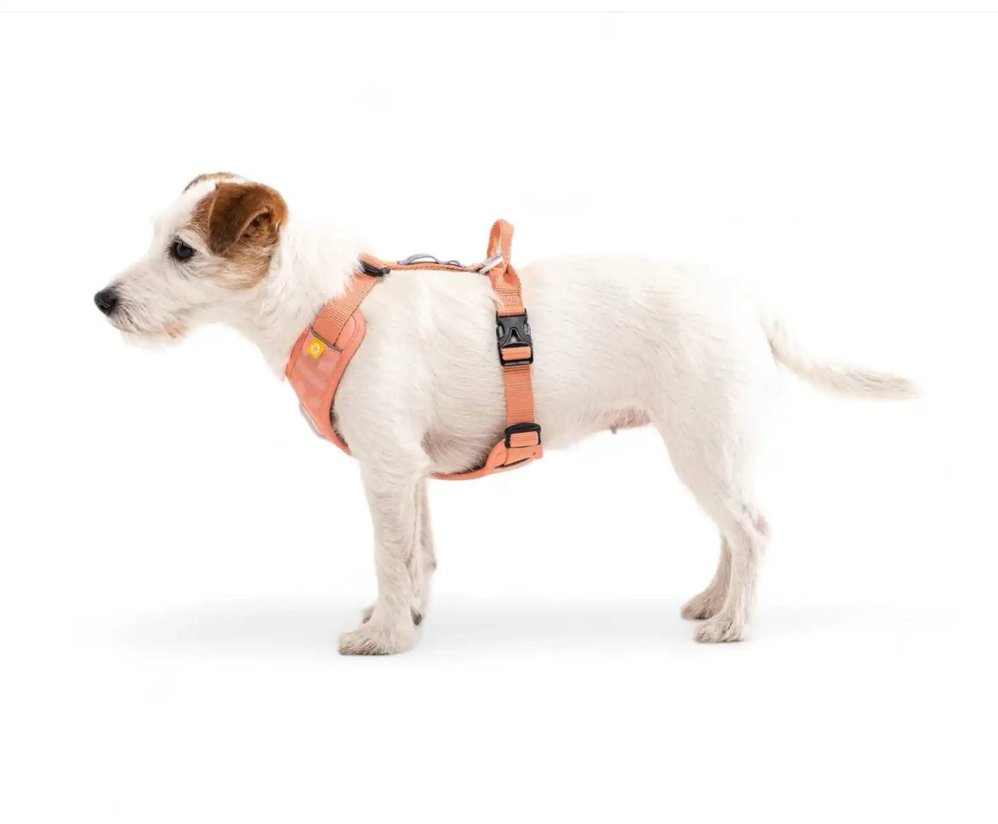 Шлея для собак Woolly Wolf Roam Harness Salmon Pink