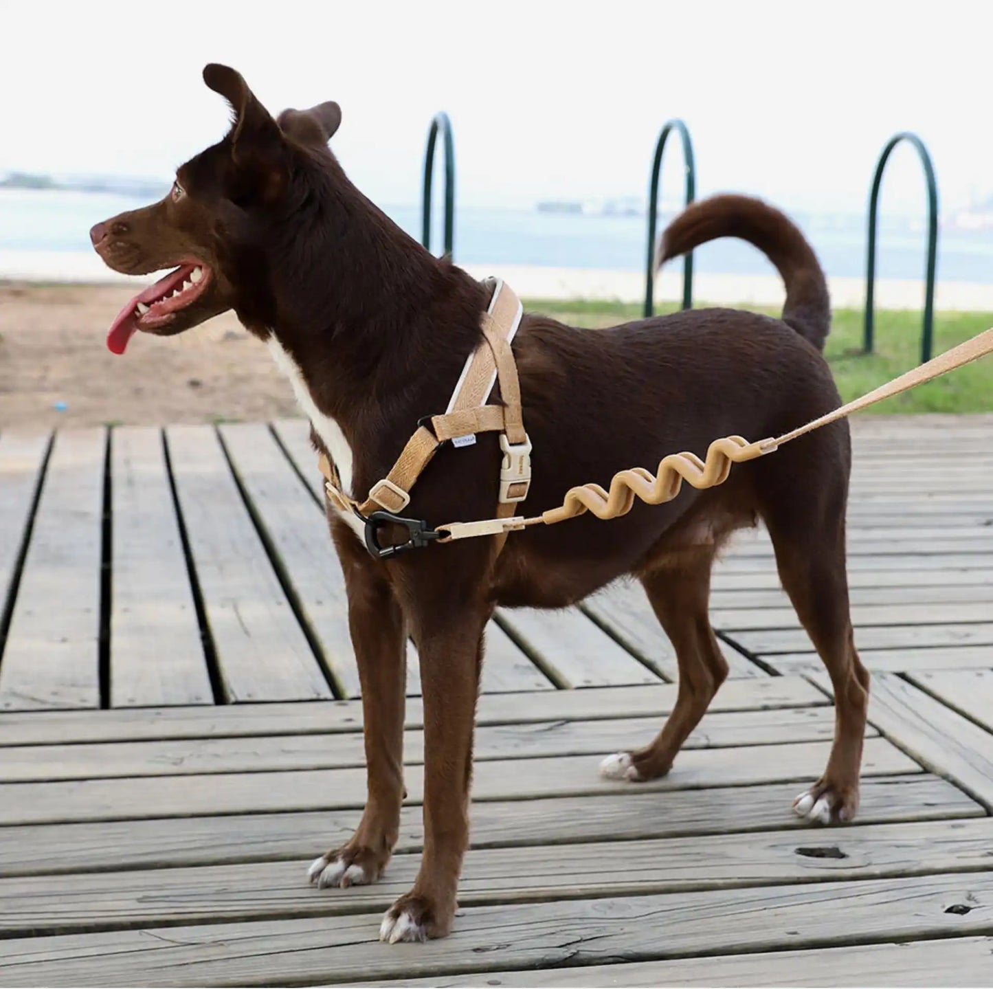 Шлея для собак Zee.Dog - DUNE SOFTER WALK HARNESS
