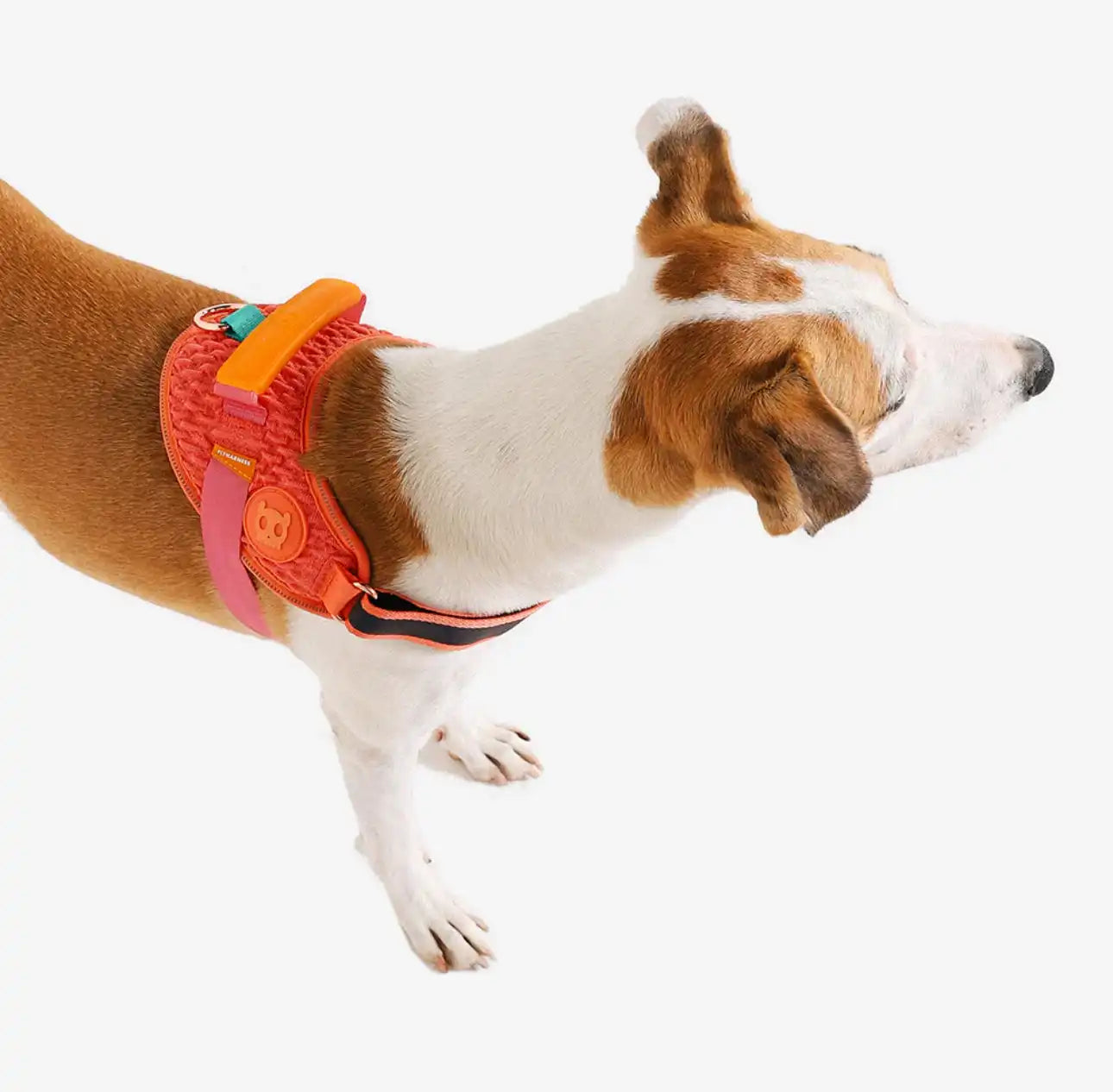 Шлея для собак Zee.Dog - Gazelle FlyHarness
