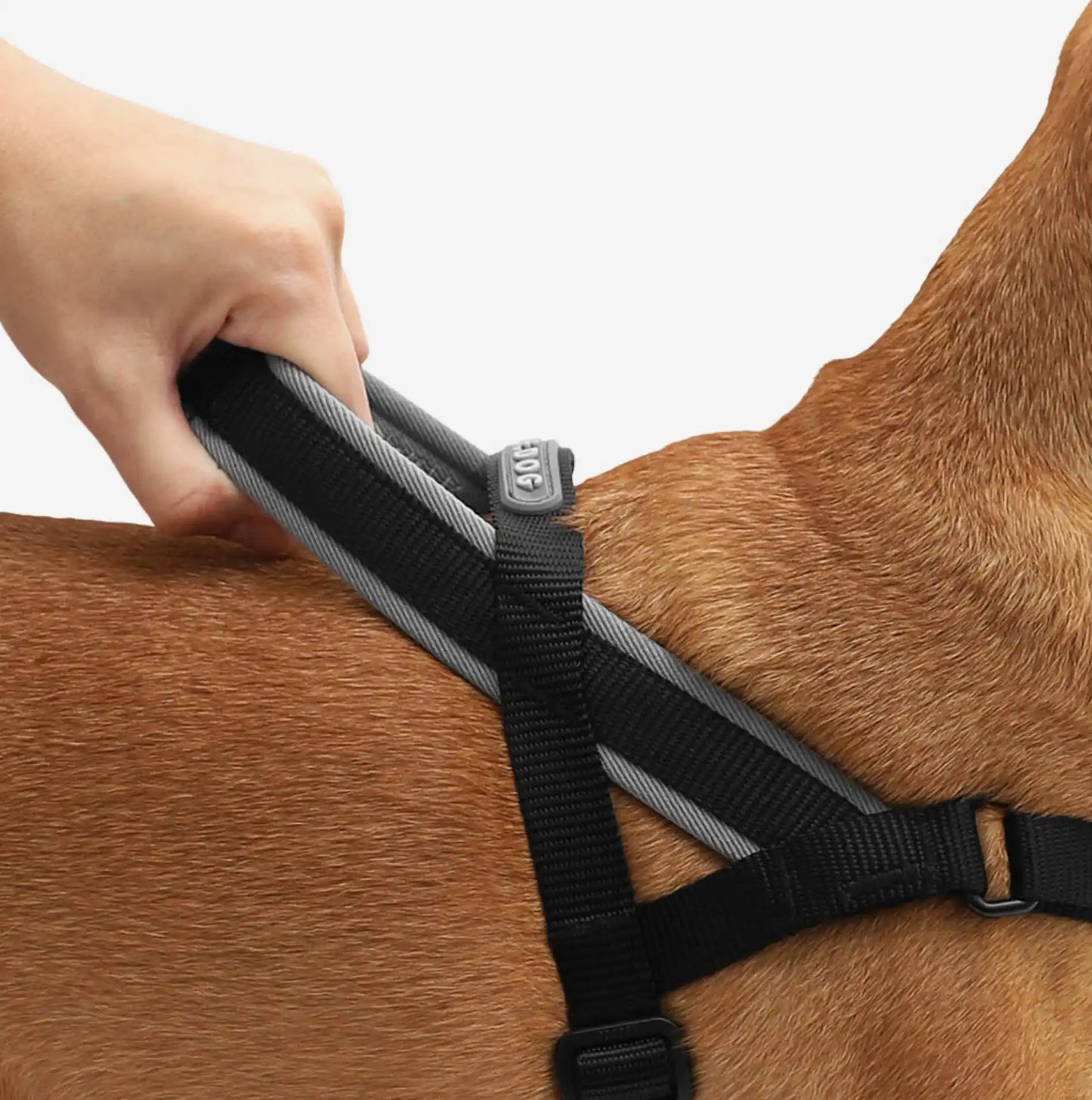 Шлея для собак Zee.Dog - GOTHAM SOFTER WALK HARNESS