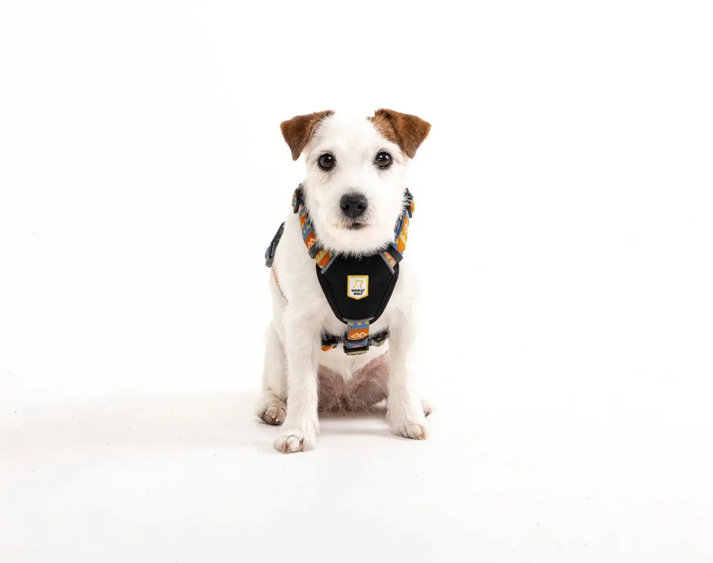 Шлейка Woolly Wolf Nightless Night Harness