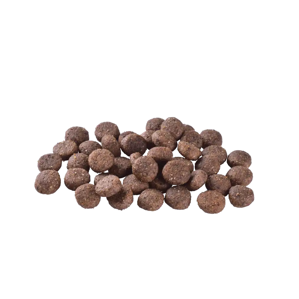 Сухий корм Brit Care Dog Grain-free Adult для собак малих і середніх порід, беззерновий з лососем