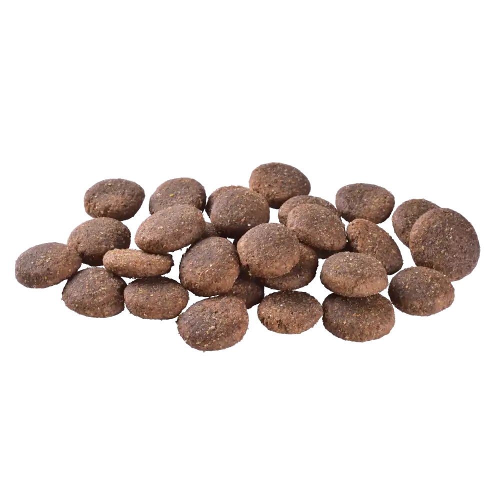 Сухий корм Brit Care Dog Grain-free Adult Large Breed для собак великих порід, беззерновий з лососем