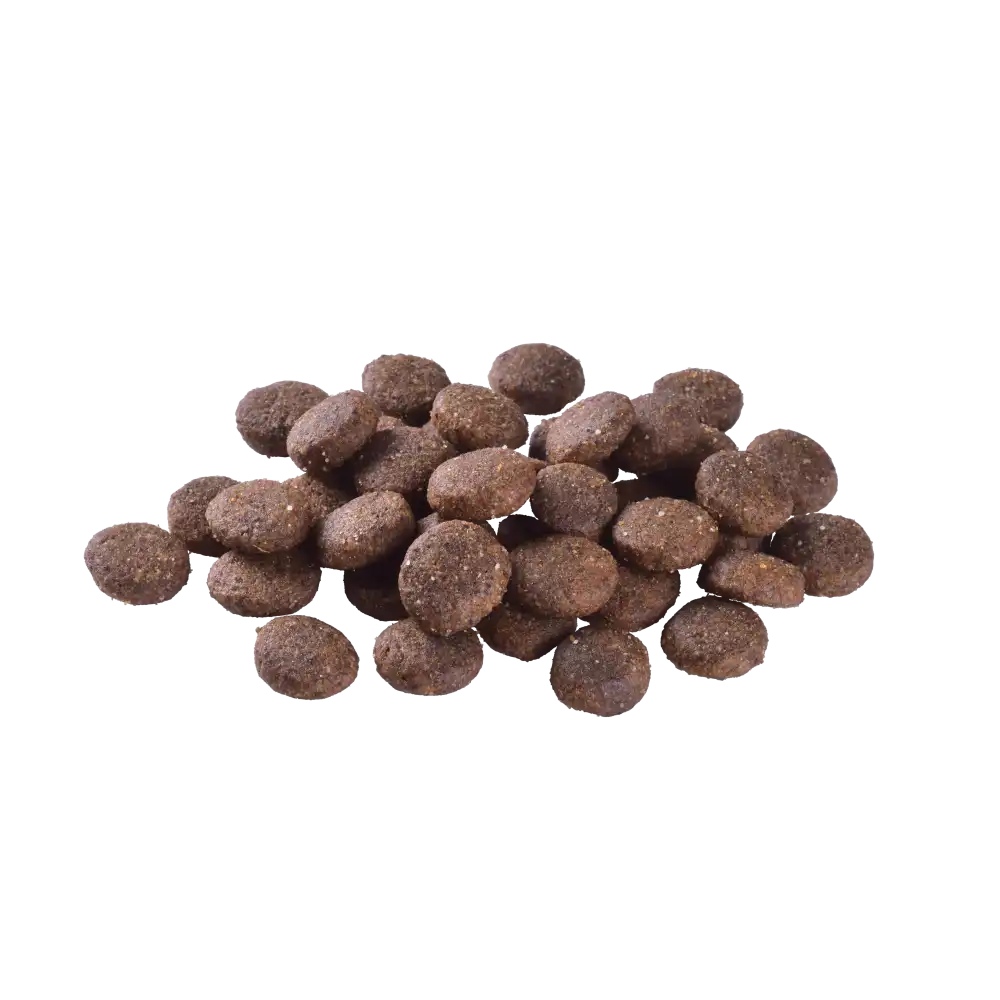 Сухий корм Brit Care Dog Grain-free Junior Large Breed для молодих собак великих порід, беззерновий з лососем
