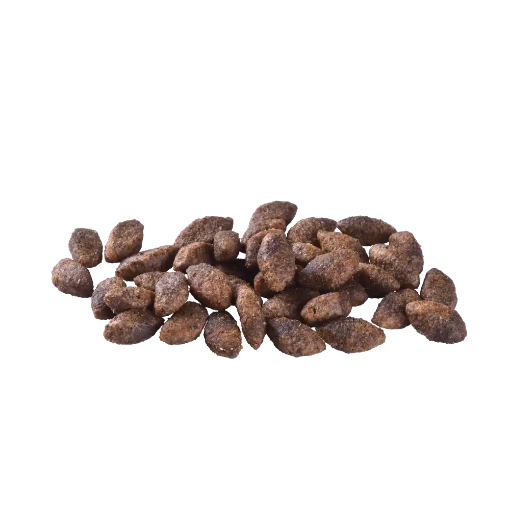Сухий корм Brit Care Dog Grain-free Sensitive для собак з чутливим травленням, беззерновий з олениною