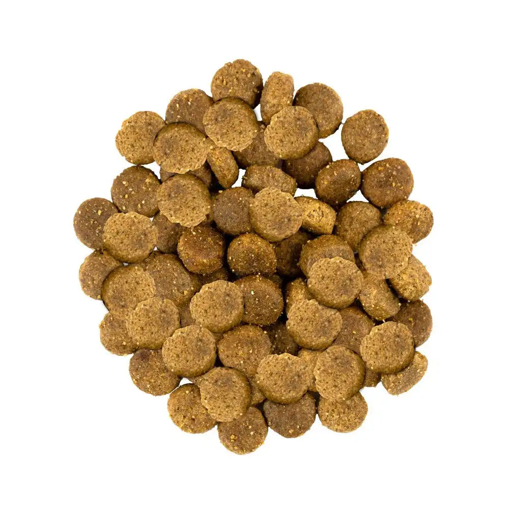 Сухий корм Savory Medium для собак середніх порід, зі свіжим ягням та індичкою