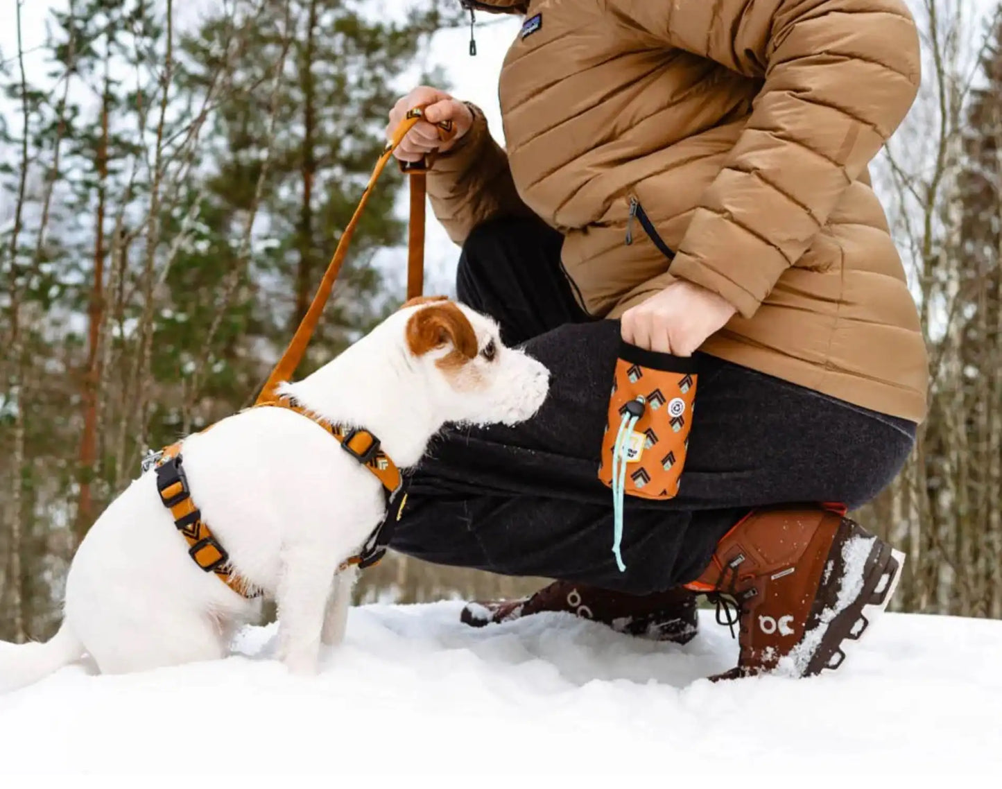 Сумка для ласощів Woolly Wolf Sea to Summit Dog Snack Bag