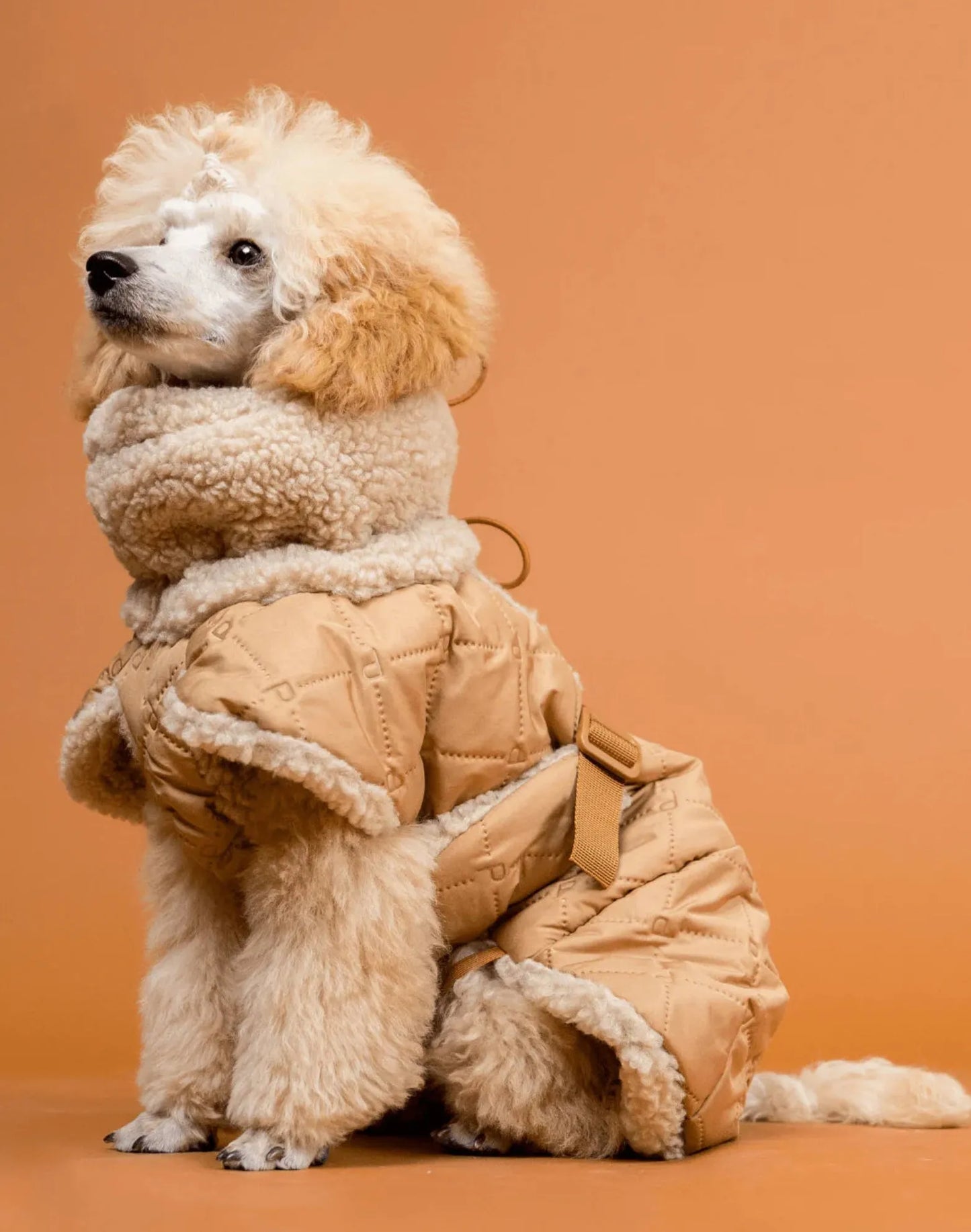 Тепла попона для собак Winter Sherpa Jacket Camel Paikka