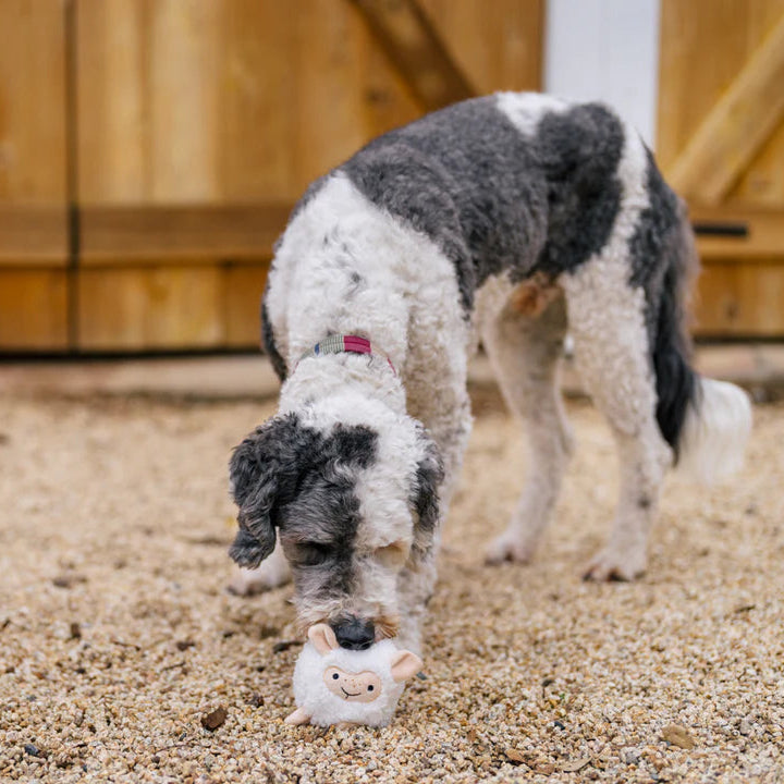 Іграшка для собак Barnyard Buddies – Вівця Sadie the Sheep Pet Play