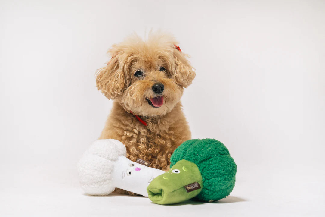 Іграшка для собак Farm Fresh Collection – Broccoli Pet Play