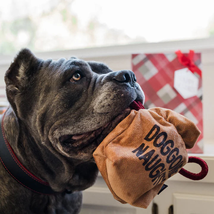 Іграшка для собак Bag of Coals Pet Play