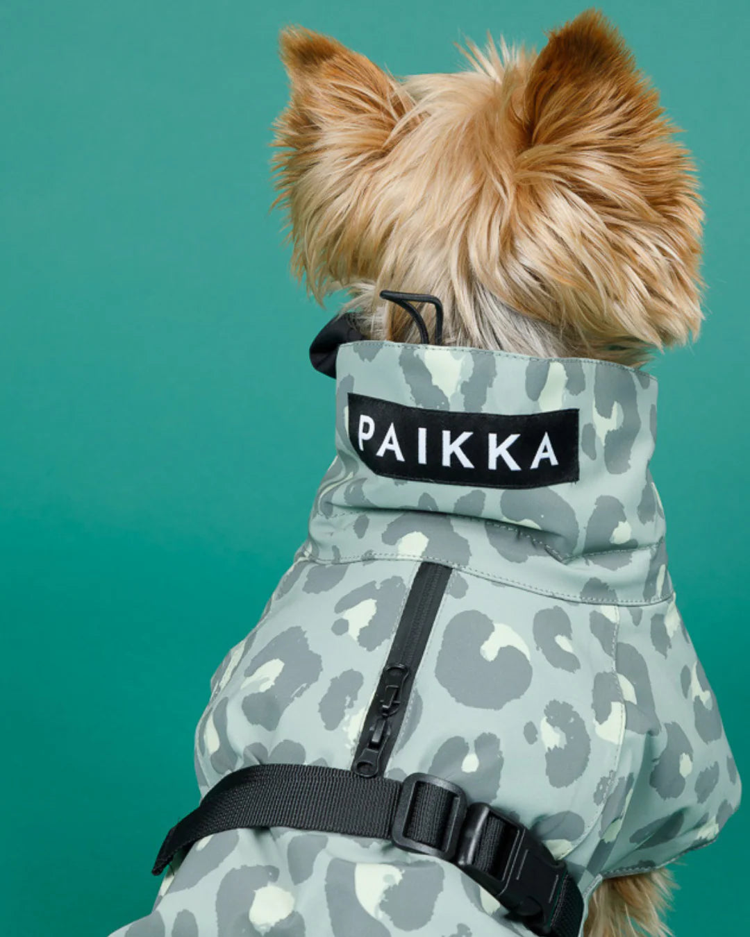 Тепла попона для собак Winter Jacket Green Leo Paikka