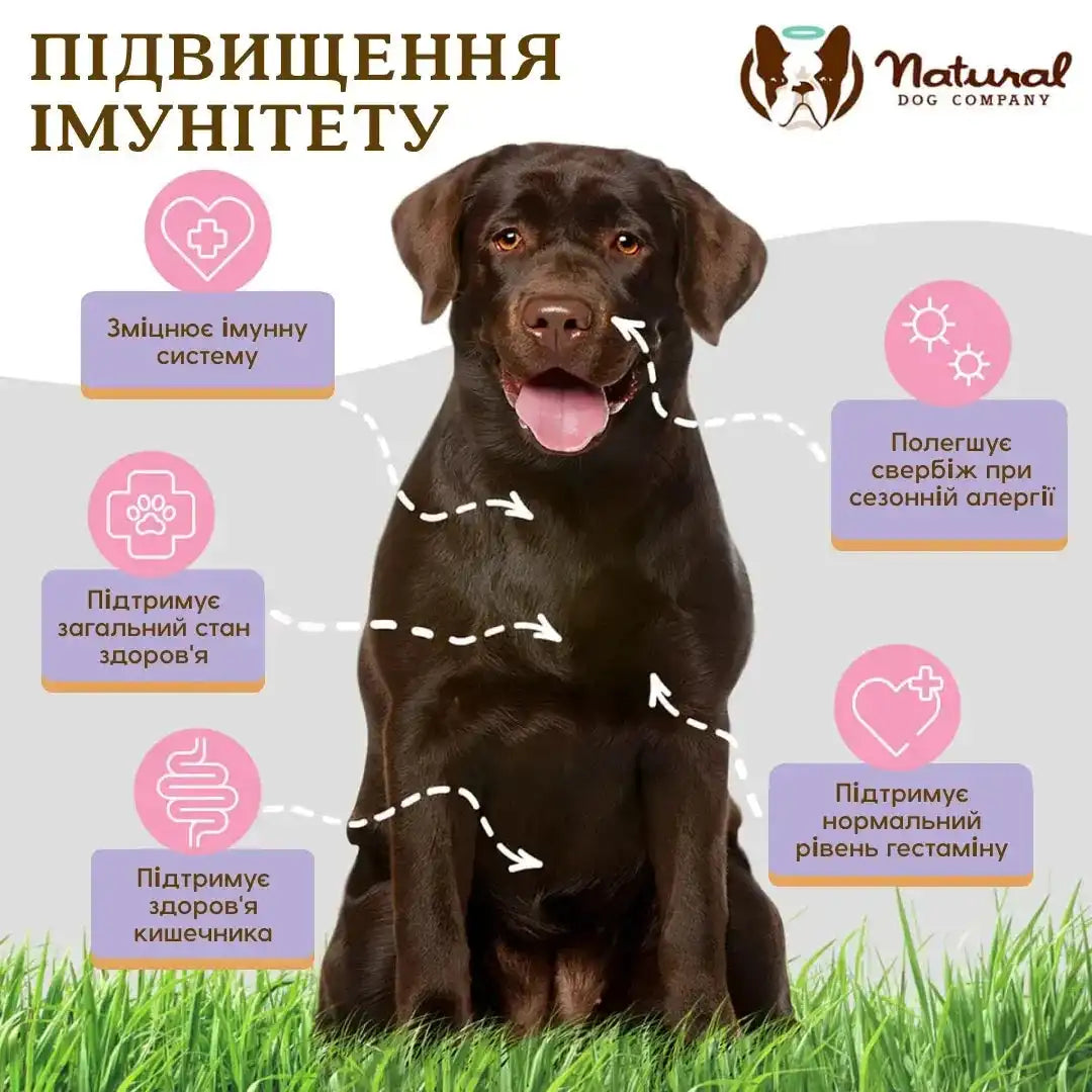 Вітамінний комплекс для імунітету проти алергії Aller-Immune Natural Dog Compan, 90шт