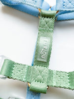 Шлея для собак FURLOU Blue and Sage Green