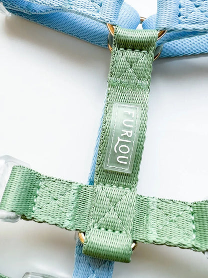 Шлея для собак FURLOU Blue and Sage Green
