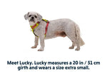 Полегшена шлейка для собак Ruffwear Hi & Light™ жовтий
