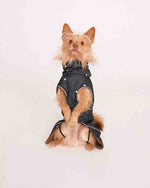 Попона для собак Snousey — Overnight (omni-heat)