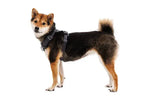 Повсякденна шлейка для собак Ruffwear Front Range® сірий