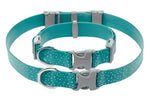 Водостійкий нашийник для собак Ruffwear Confluence бірюзовий