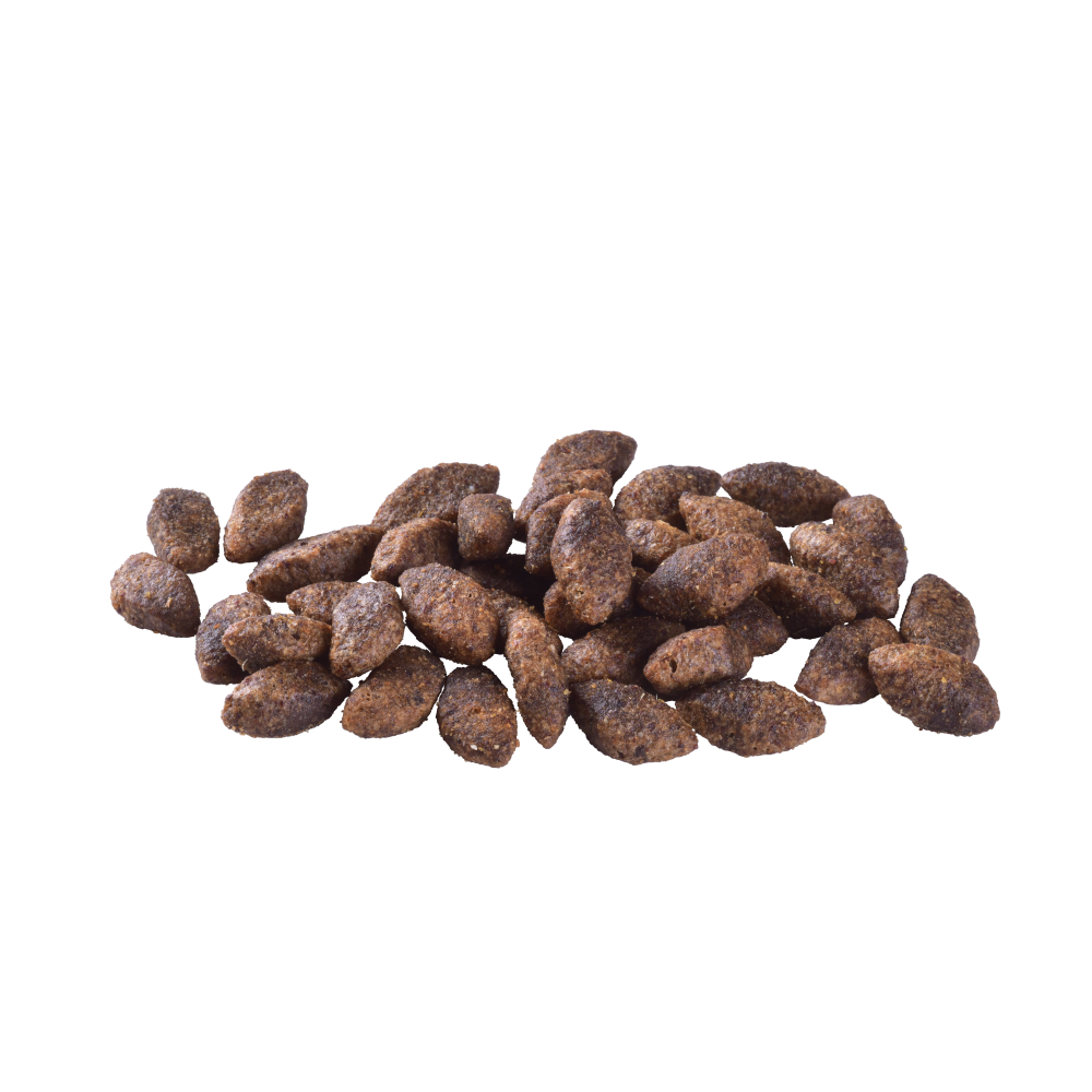 Сухий корм Brit Care Dog Grain-free Sensitive для собак з чутливим травленням, беззерновий з олениною