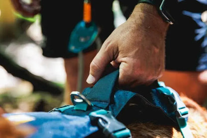Легка шлейка для собак Ruffwear Flagline™ сірий