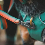Повсякденний повідець для собак Ruffwear Front Range™ оранжево-сірий