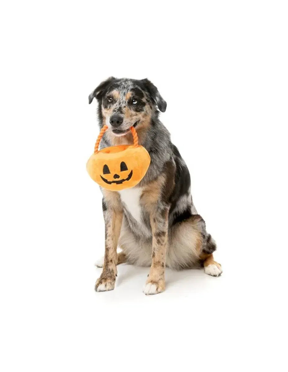 М'яка іграшка для собак FuzzYard Кошик "Цукерки чи життя"