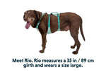 Легка шлейка для собак Ruffwear Flagline™ зелений