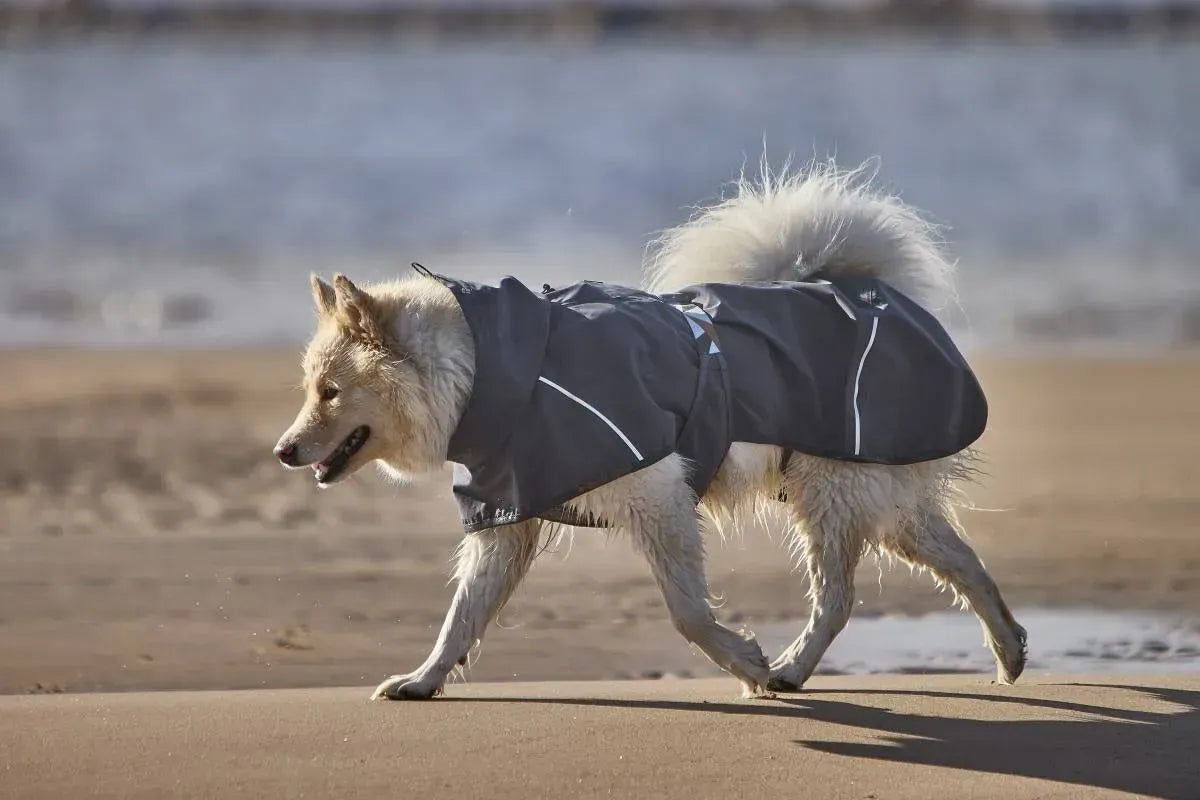 Дощовик для собак Hurtta Mudventure Coat ECO Сірий